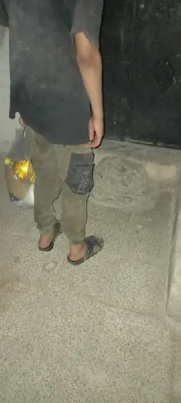 عکس ۶