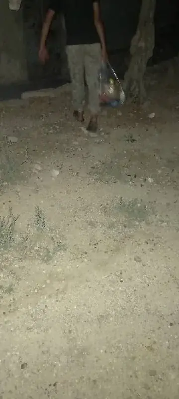 عکس ۱۱