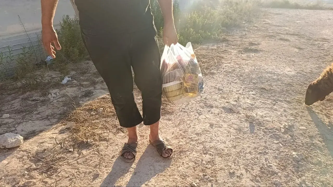 عکس ۳