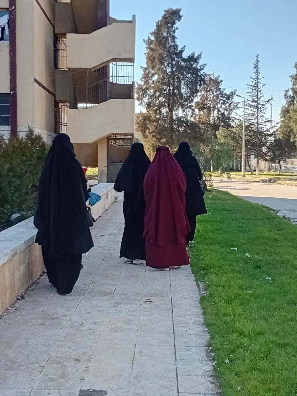 عکس ۶