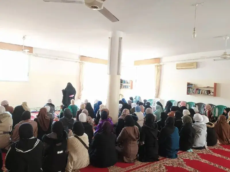 عکس ۵
