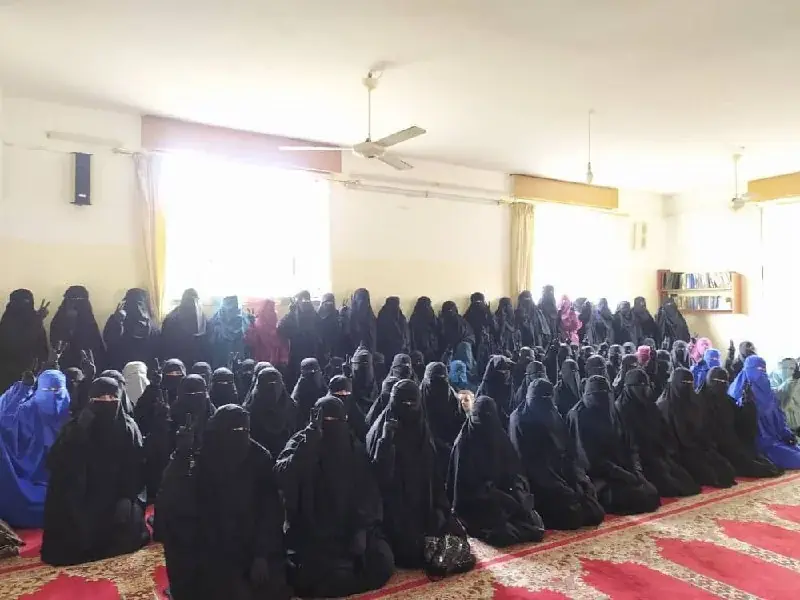 عکس ۷