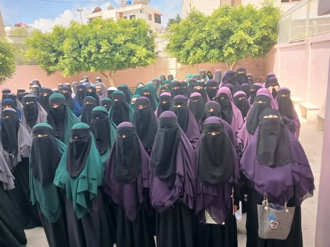 عکس ۷