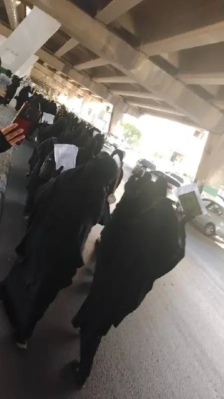 عکس ۱۲