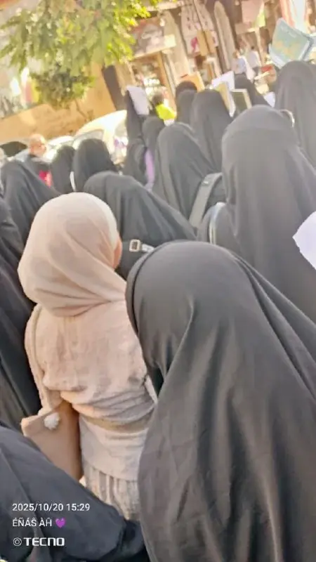 عکس ۱۳
