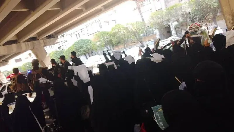 عکس ۱۴