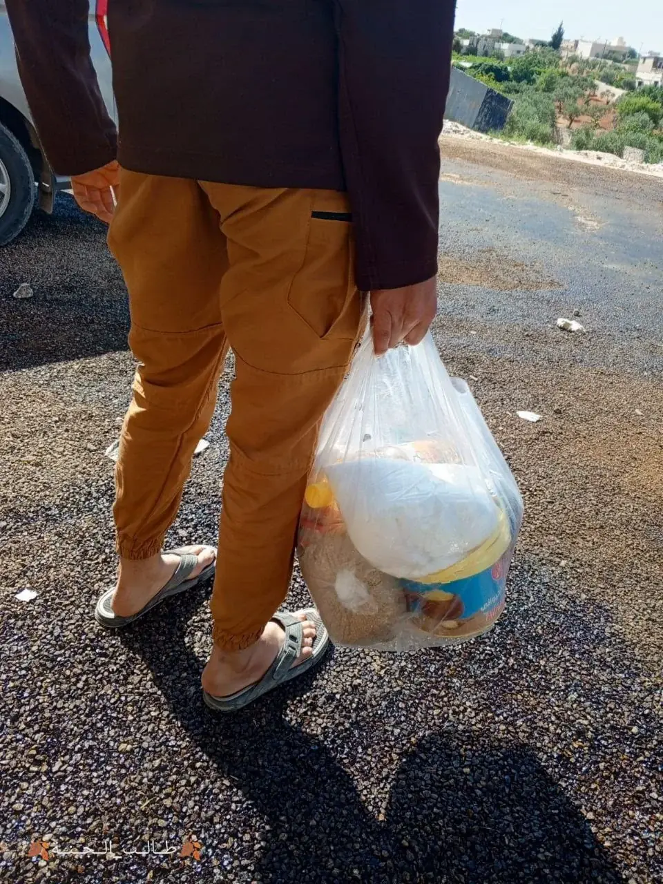 Fotoğraf 30