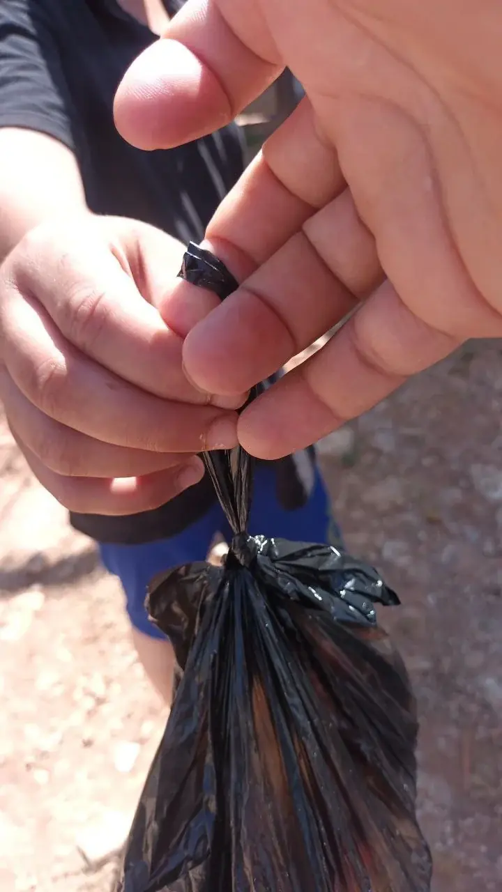 عکس ۲