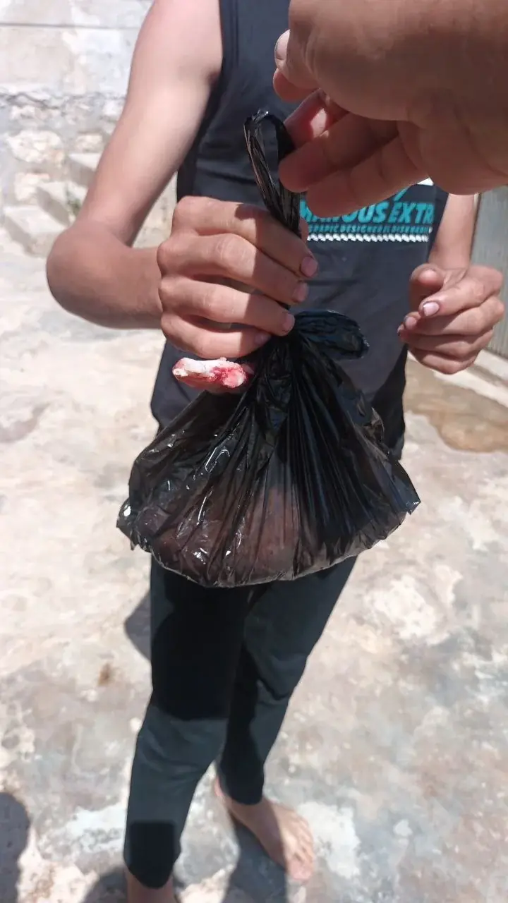 عکس ۴