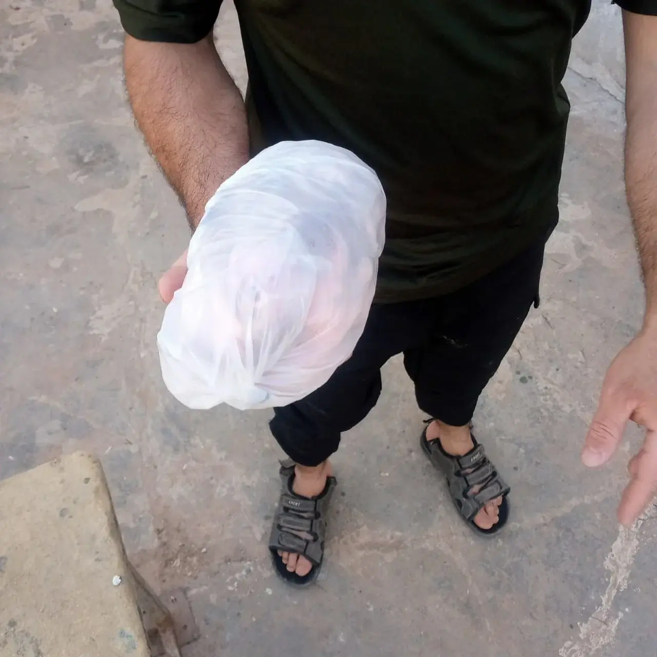 عکس ۴۷