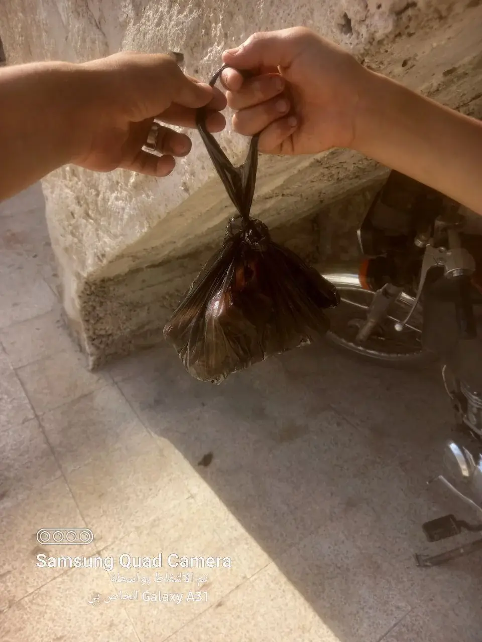 صورة 7
