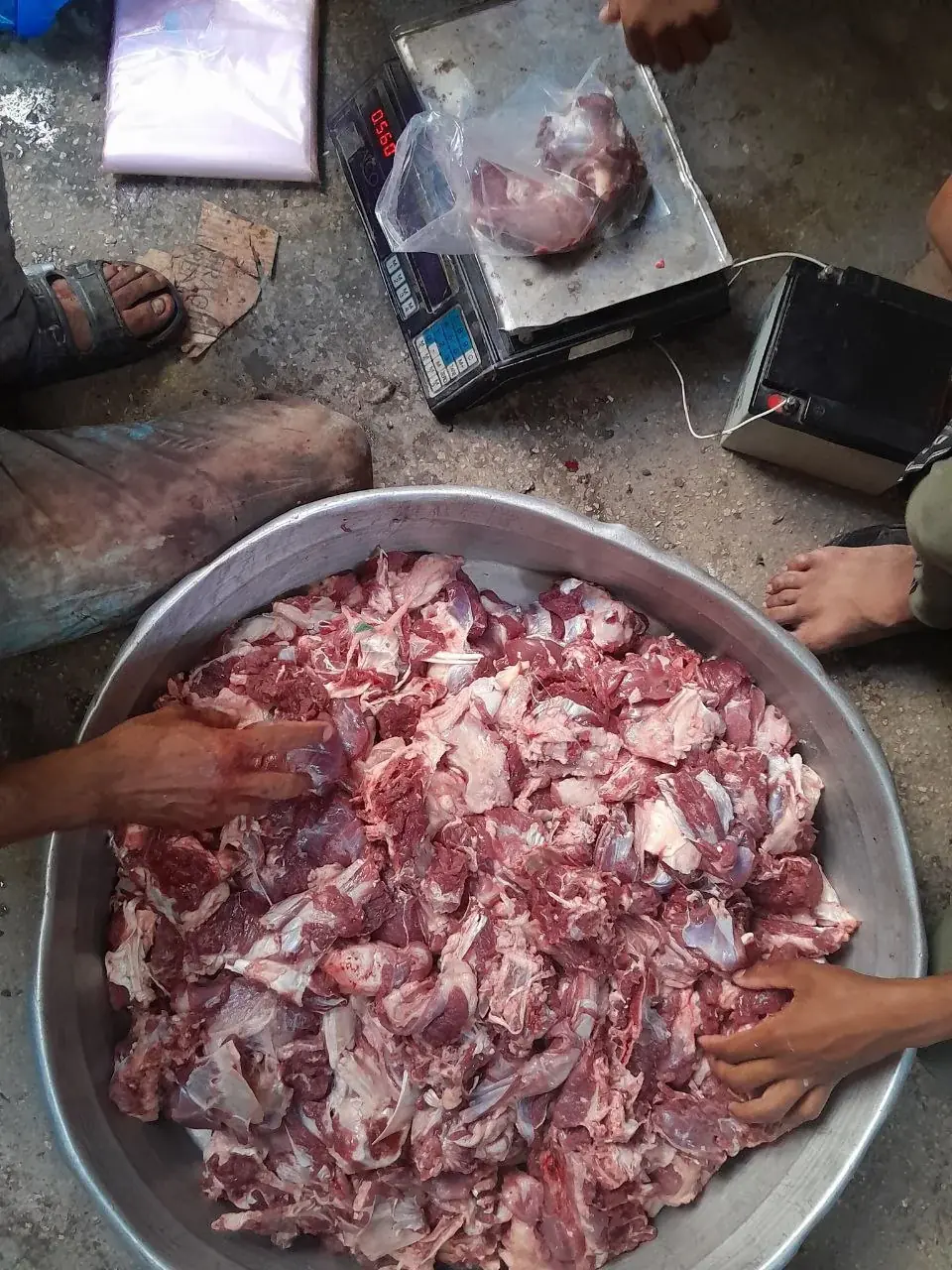 عکس ۵