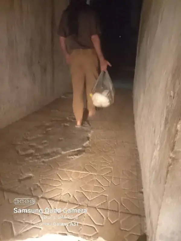 عکس ۲۳