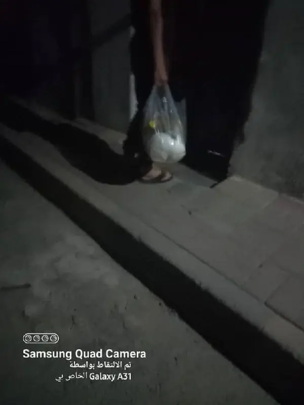 عکس ۲۴