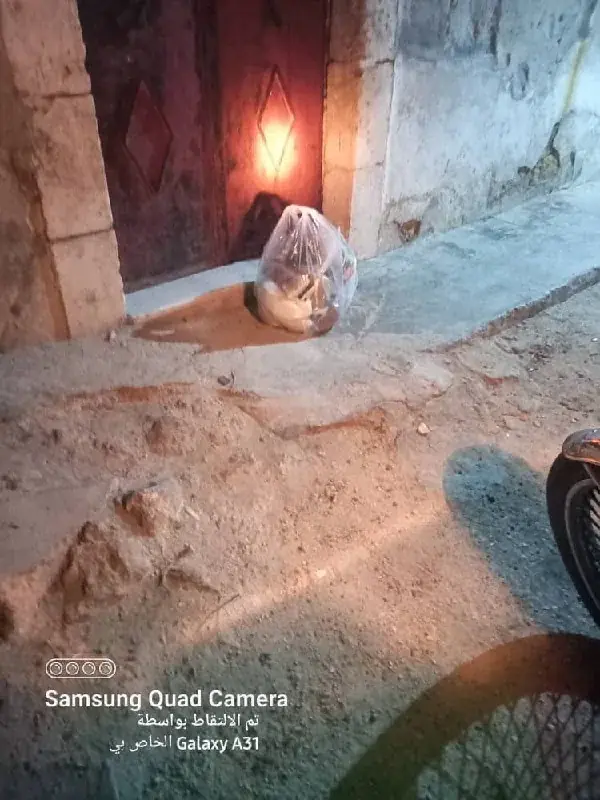 عکس ۲۶